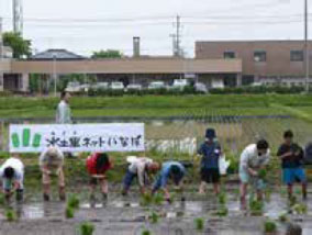 田植え体験